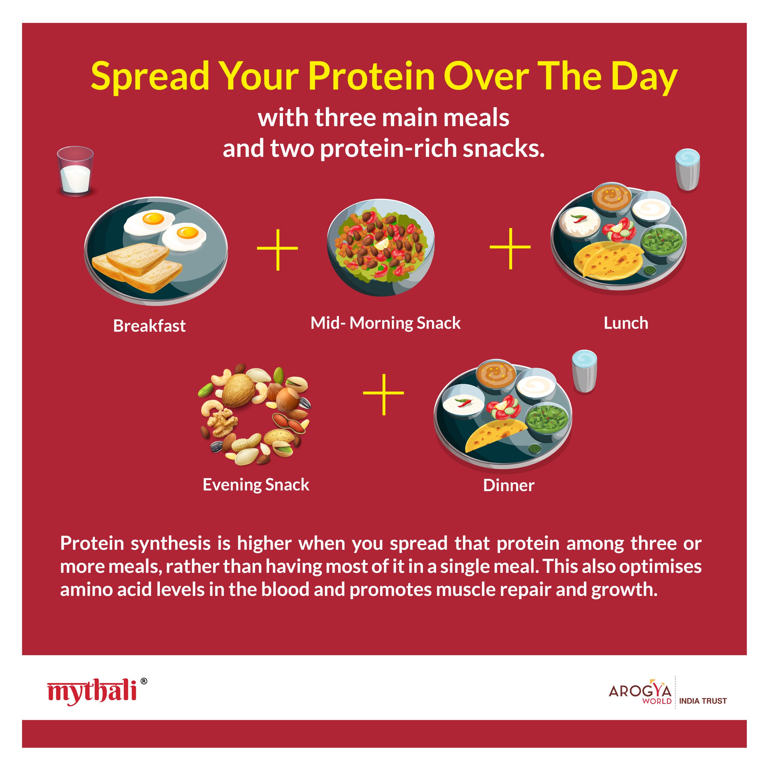 Protein Intake Day Plan